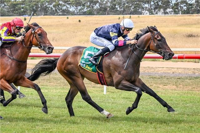 Kearney finds latest bargain